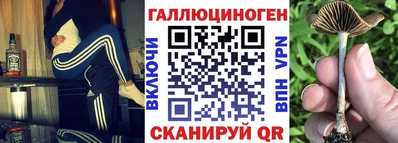 Псилоцибиновые грибы Magic Shrooms  ОМГ ОМГ ССЫЛКА  Терек 